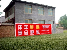 舞钢如何让墙体广告展现最大化效果