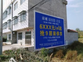 舞钢墙体广告质量分析