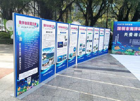 舞钢KT板的种类和知识。